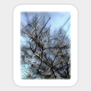 Rustic Almond Tree Sticker